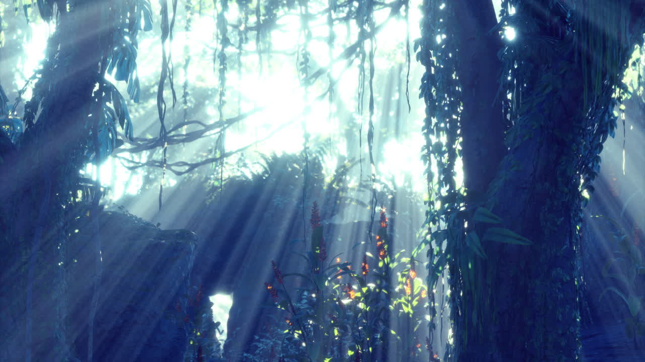 Sunlight through the Jungle Canopy