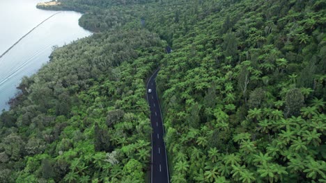 aerial flying along the road following a car along a native fern rain forest next to blue lake with a boat and water skier in rotorua new zealand