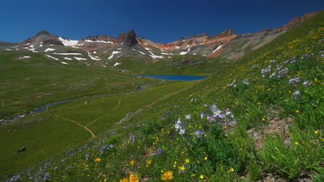 cinematic heavenly paradise ice lake basin trail alpine wilderness columbine purple state wildflowers stunning colorado silverton telluride rocky mountain range snow summer beautiful pan left motion