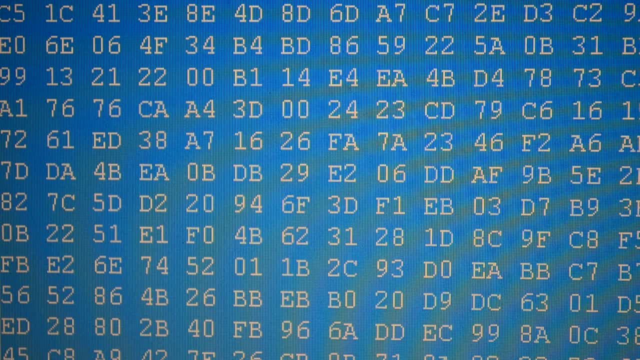 Blue binary code. Figures and letters. Hexadecimal program code on screen. Animated background of moving binary code numbers