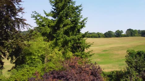 toma aérea de drones panorámicos más allá de árboles multicolores para revelar campos verdes quemados dorset uk 4k