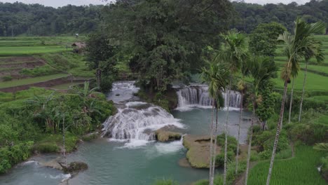 Drone-Vuela-Hacia-La-Cascada-Waikelo-Sawah-Rodeada-De-Campos-De-Arroz,-Antena