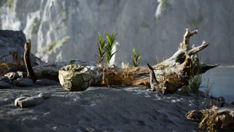 an old torn soccer ball thrown lies on sand of sea beach