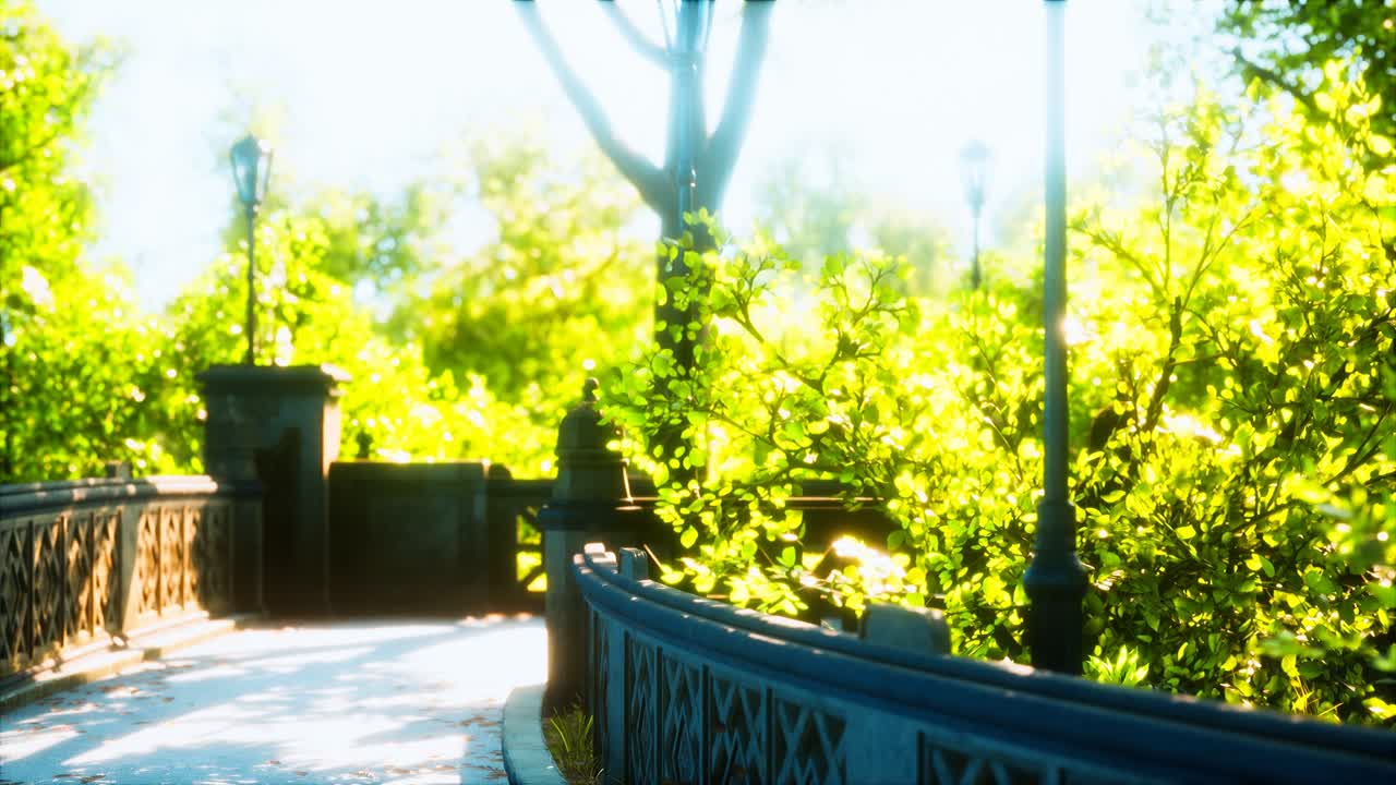 도시 에 있는 평화로운 공원