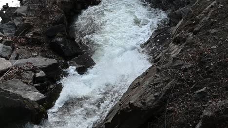 río rápido que fluye en la montaña osogovo macedonia del norte