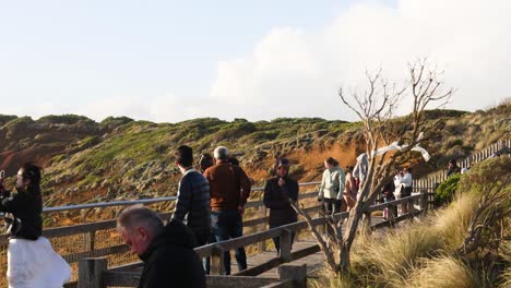 visitors enjoying scenic views and taking photos