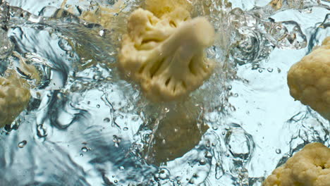 fresh cauliflower pieces falling water close up. organic cabbage making splashes