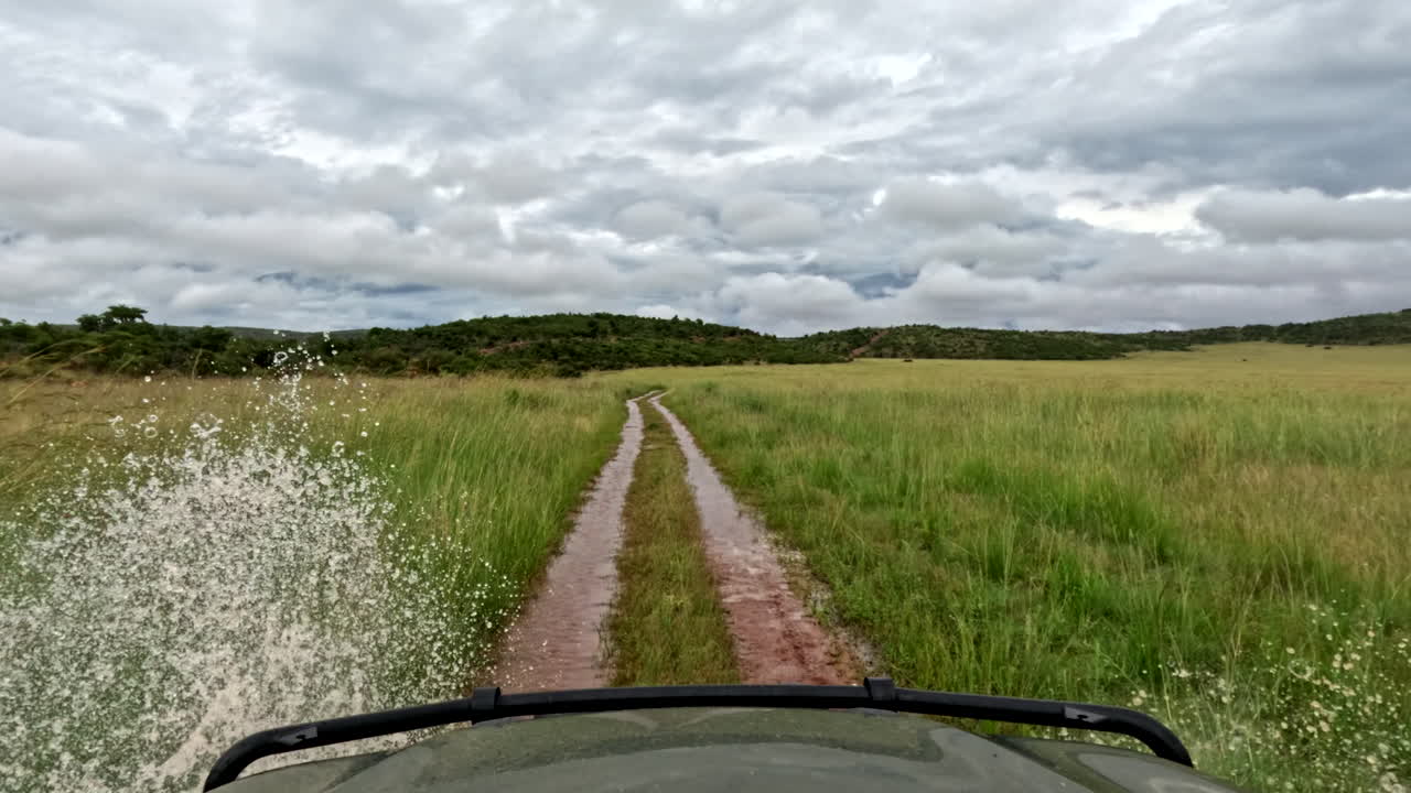 Safari vehicle on game drive POV splash through flooded 4x4 route in grassland
