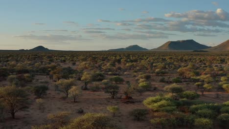 vista aérea de la sabana africana