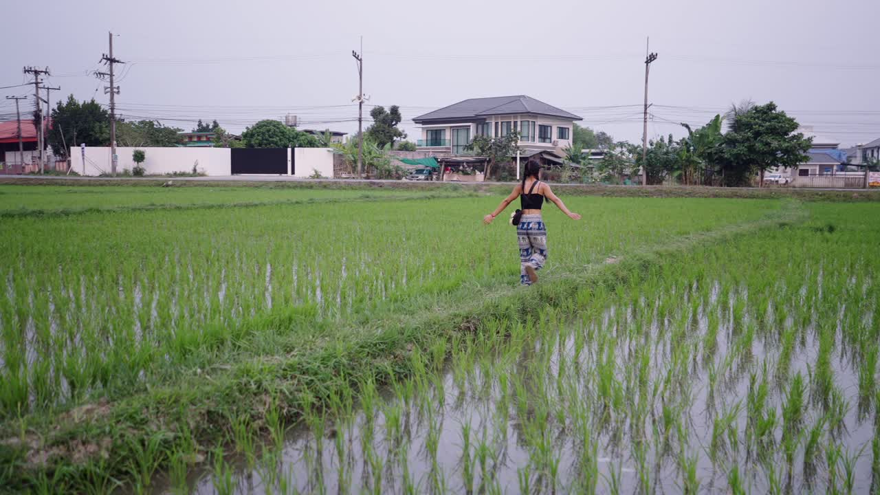 Young woman walks along a narrow path through a lush green rice field