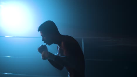 montage d'entraînement à la boxe