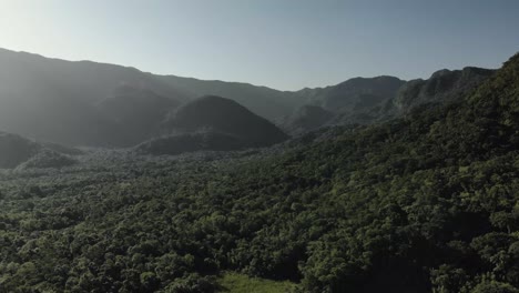 Schöne-4k-Waldaufnahmen-Aus-Der-Vogelperspektive