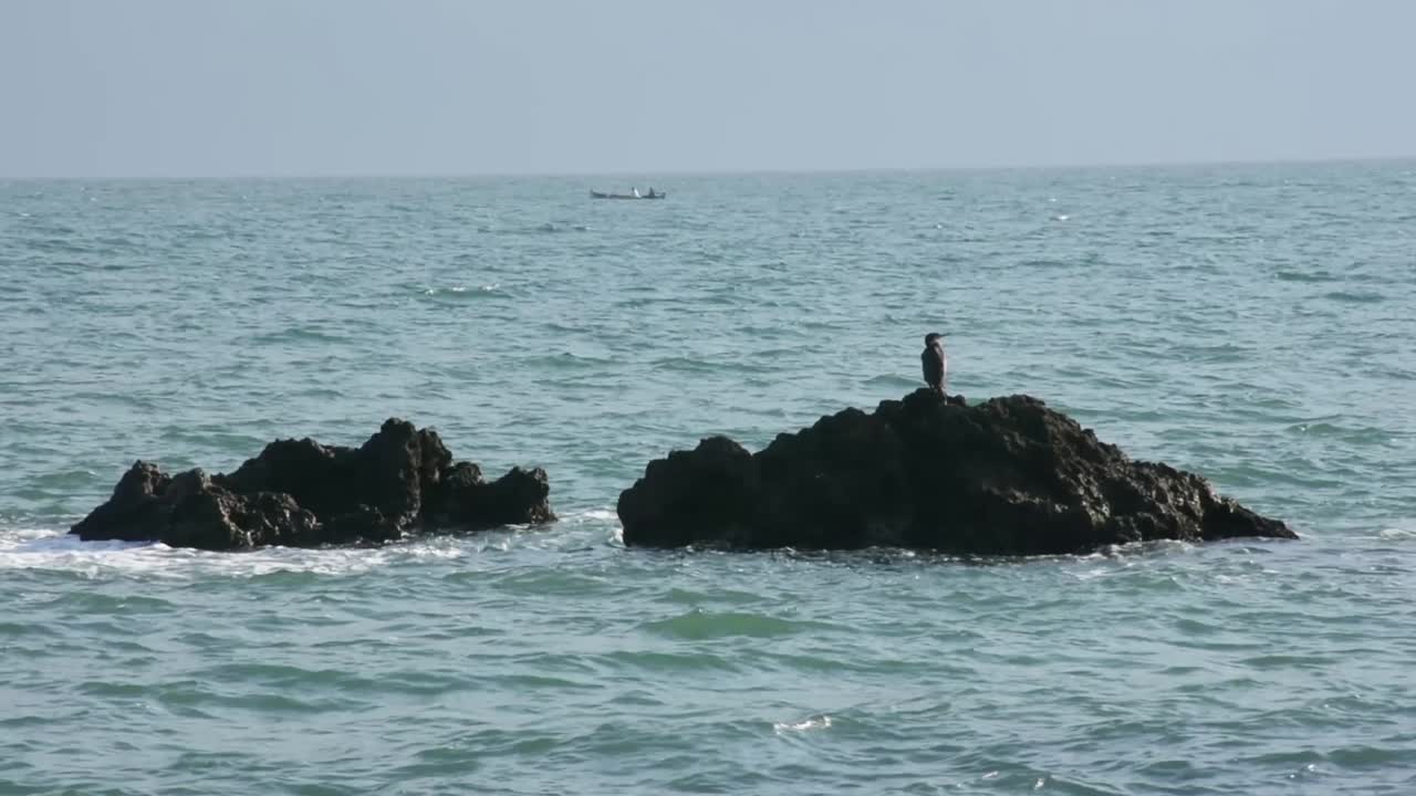 불가리아 해안선 옆 흑해의 작은 어선