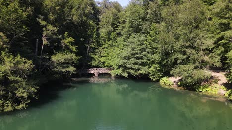 Lake-In-A-Wooded-Park-Aerial-Shot