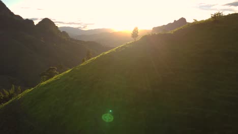 Cinematic-golden-hour-footage-of-lush-green-valley-and-mountains