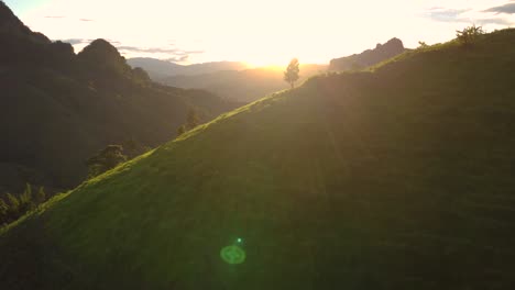 cinematic golden hour footage of lush green valley and mountains