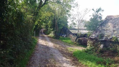 Casa-Antigua-Tradicional-Y-Granja-En-Una-Calle-Tranquila-En-La-Irlanda-Rural-En-Un-Día-De-Otoño