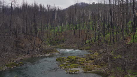 Río-North-Umpqua-Escénico-Después-Del-Incendio-Forestal