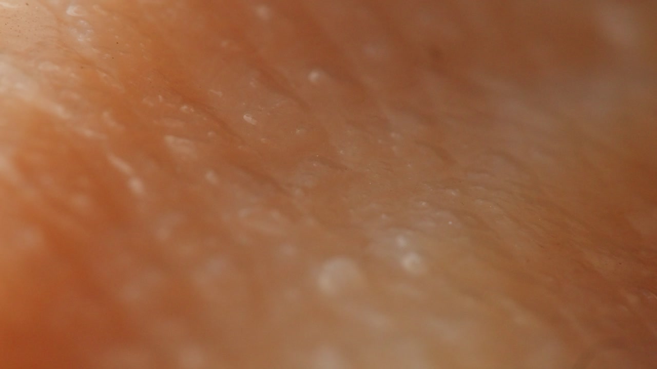 Close-up Texture of Raw Meat