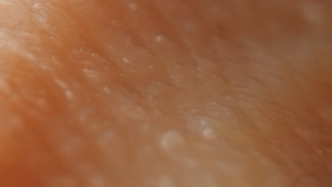 Close-up Texture of Raw Meat