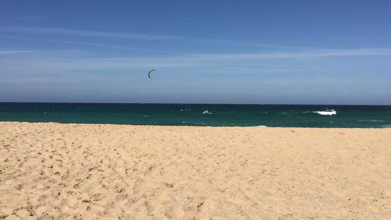 Kite at Santa Cruz' beach