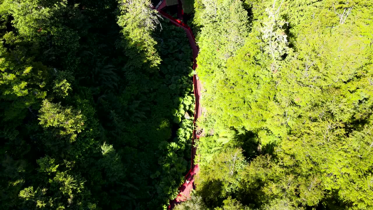 carretilla aérea fuera del complejo de aguas termales termas geometricas, rodeado de bosques verdes durante el día, coñaripe, chile