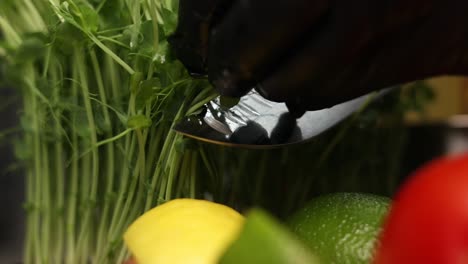 preparación de brotes de guisantes