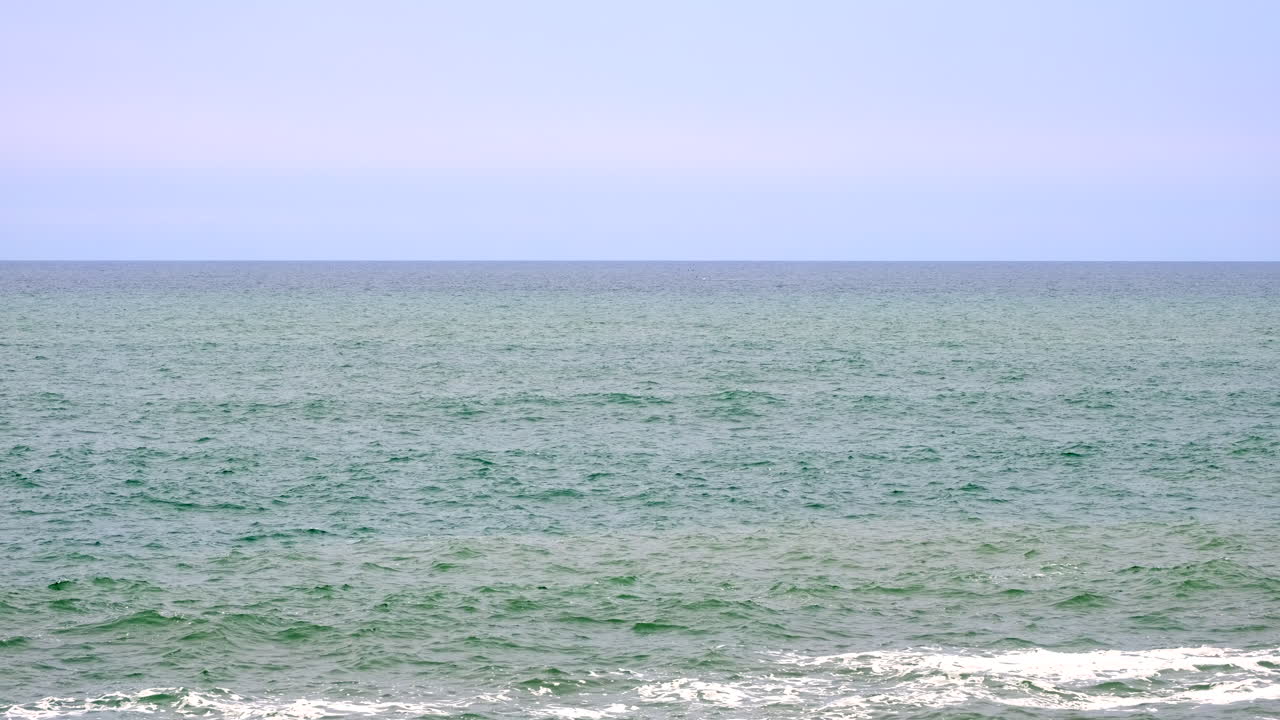 Black Southern Right whale breaching in distance in Atlantic ocean off Hermanus
