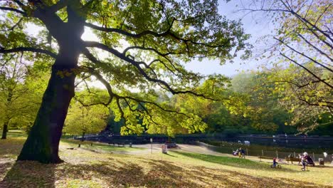 Romantic-Scenery-in-Public-Park-of-Berlin-with-Beautiful-Tree-and-Pond