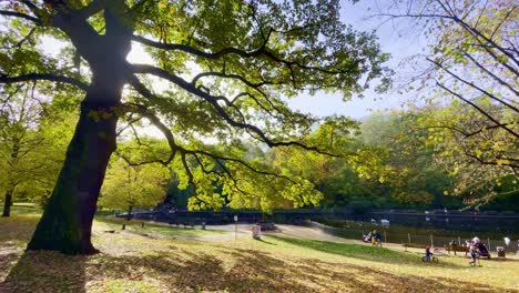 paisaje romántico en el parque público de berlín con hermoso árbol y estanque