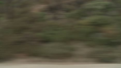 a car travels along pacific coast highway as seen through the side window 8