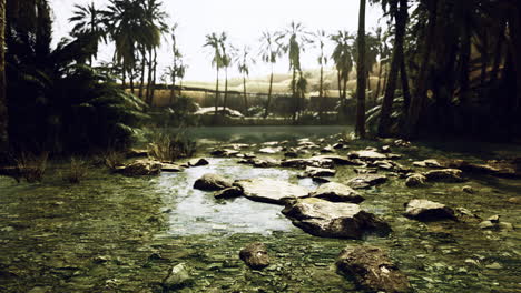tranquil oasis bathed in golden sunlight with lush greenery and calm waters