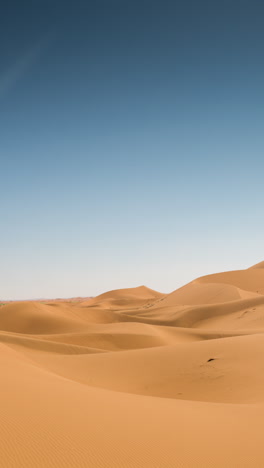 dunes in sahara desert, morocco in vertical