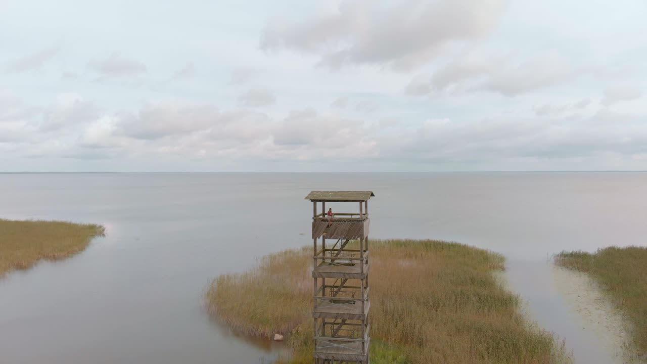 vortsjarv 호수 망루 공중 공개에서 외로운 여자를 배신