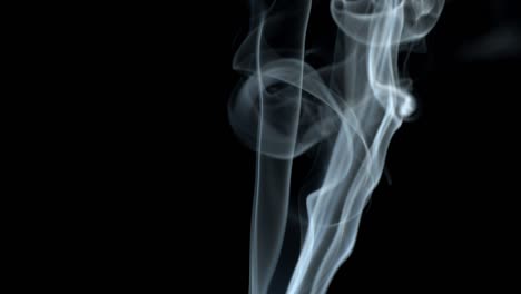 el humo en el fondo negro del avión se eleva. el humo se disipa.