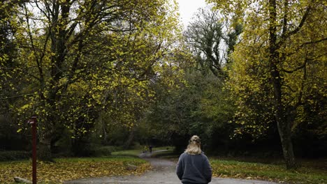 Paisaje-Natural-Escénico-En-Lanhydrock-En-Cornualles,-Inglaterra---Mujer-Caminando-Por-El-Parque-De-Otoño---Ancho