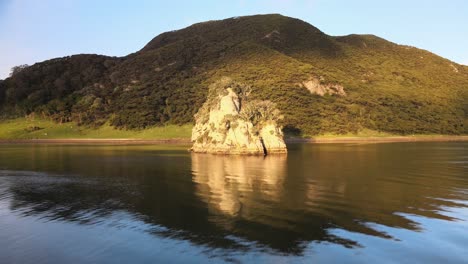 zooming out from te maunga tohora, beautiful reflection in the ocean and a swooping seagull