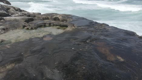 Seagulls-On-Rocky-Coast-Of-Bronte-Beach-In-Eastern-Suburbs-Of-Sydney-In-Australia