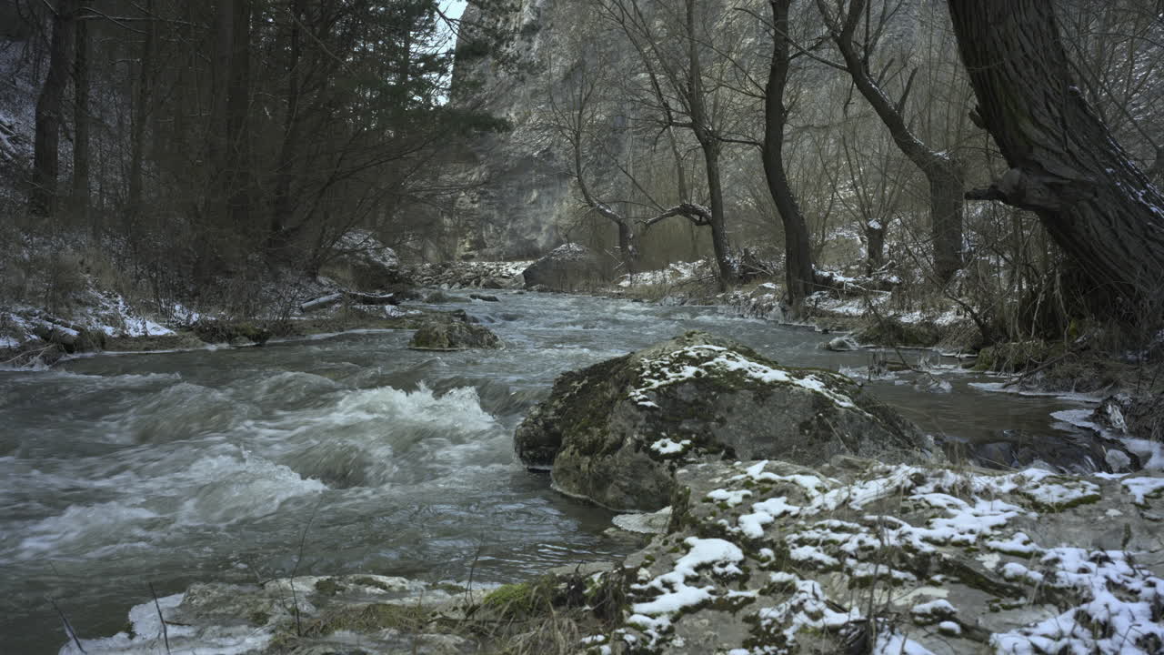 corrientes giratorias de un río de montaña que pasa entre altas rocas con bosques de hoja caduca y abeto en invierno