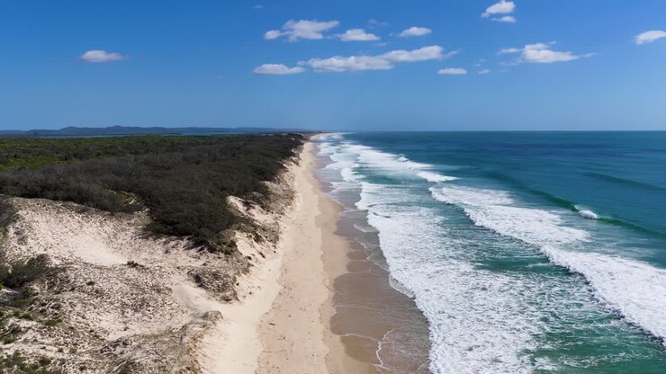 Eine Drohnenaufnahme fängt türkisfarbene Meereswellen ein, die gegen einen Sandstrand und die Küstenvegetation schlagen