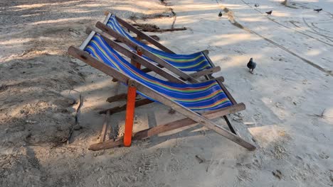 bird walks towards a colorful beach chair on sand