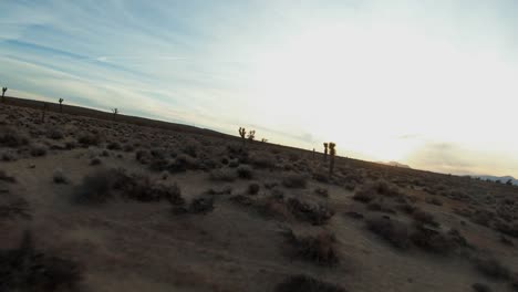 Vuelo-Rápido-A-Baja-Altitud-Debajo-Y-Alrededor-De-Los-árboles-De-Joshua-En-El-Desierto-De-Mojave-Siguiendo-Los-Contornos-Del-Terreno