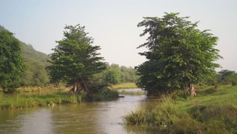 a flowing river through a forest at a village of gwalior in india