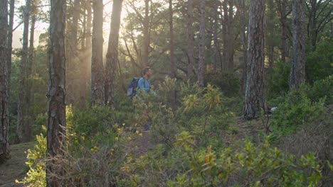 male hiker walking in forest