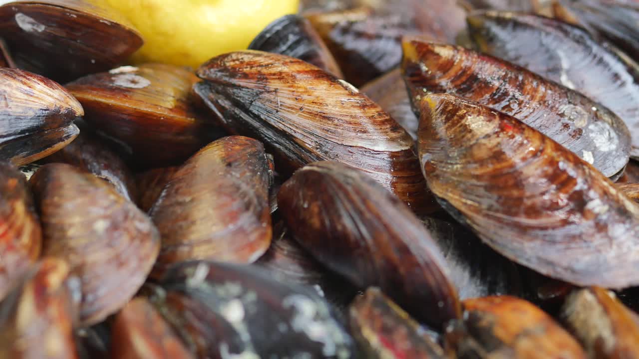 Fresh black shell recipe with lemon turkish food