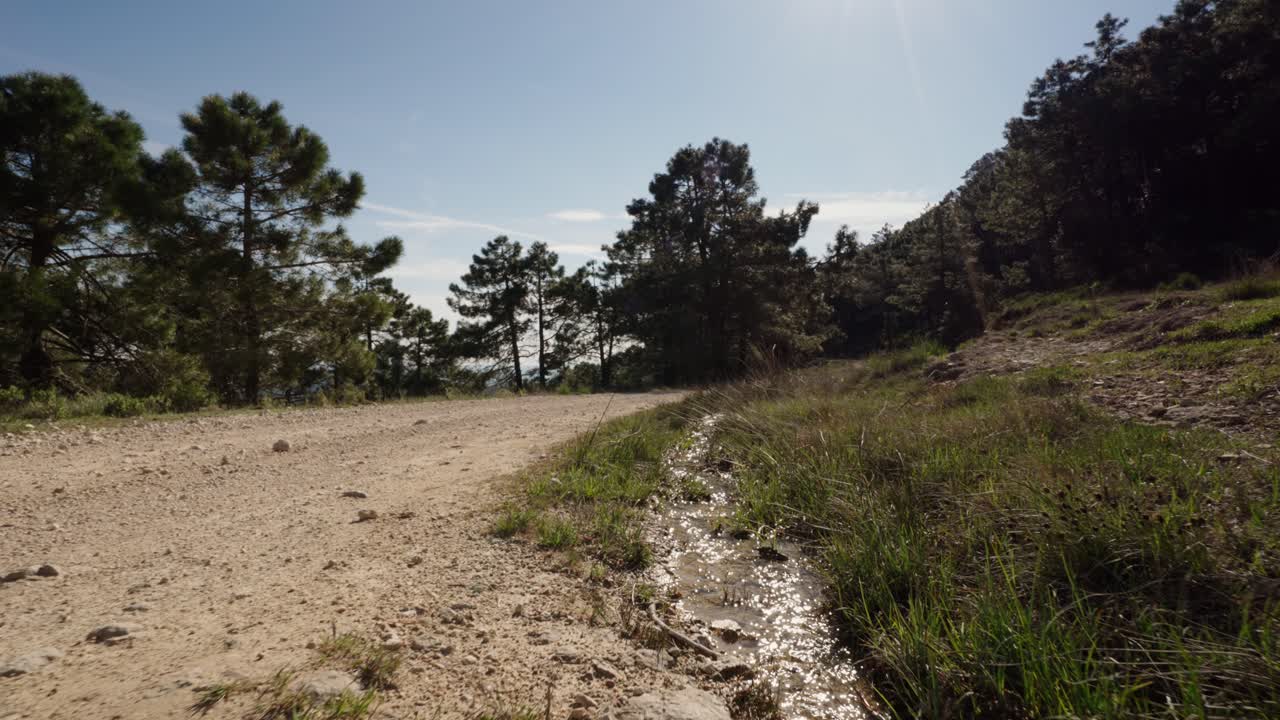Rainwater running down a Mediterranean mountain trail after spring rainfall