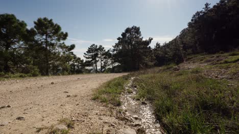 rainwater running down a mediterranean mountain trail after spring rainfall
