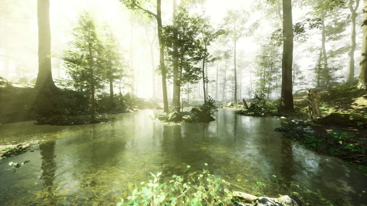 Lush forest with sunlight filtering through trees and serene water reflection
