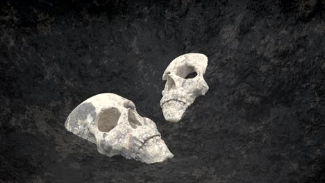 buried skulls uncovered in the soil.