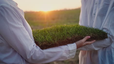 a man in a white shirt passes from hand to hand a piece of land with green grass